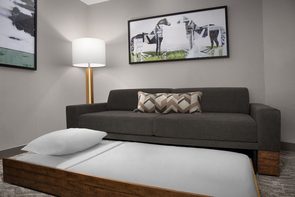 SpringHill Suites by Marriott Lexington Fritz Farm - photo 10
