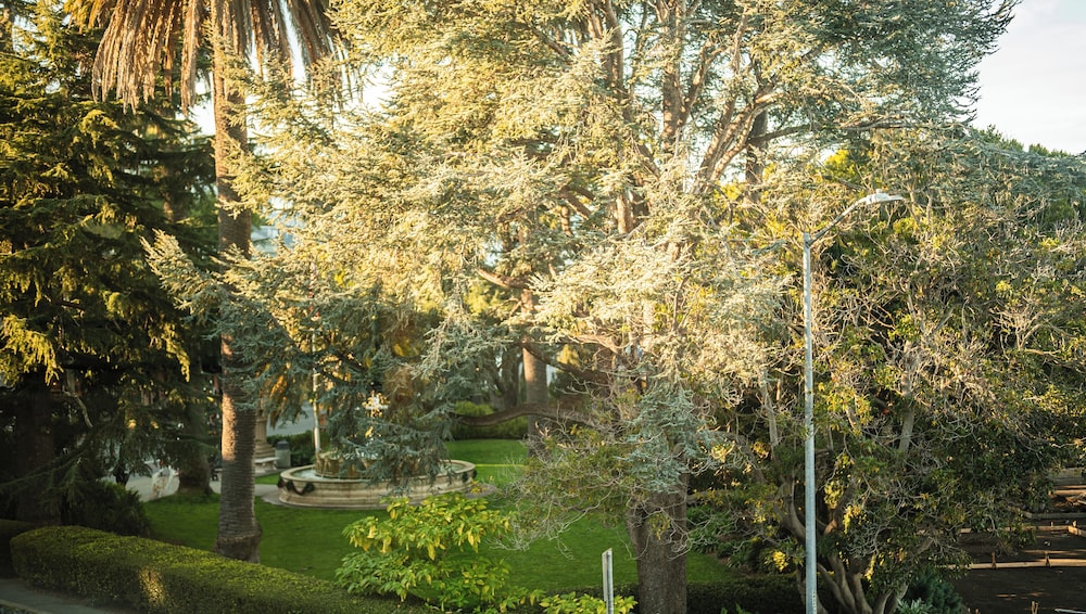 Hotel Sausalito - photo 50