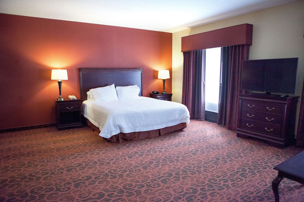 Hampton Inn Rochester Webster - photo 17