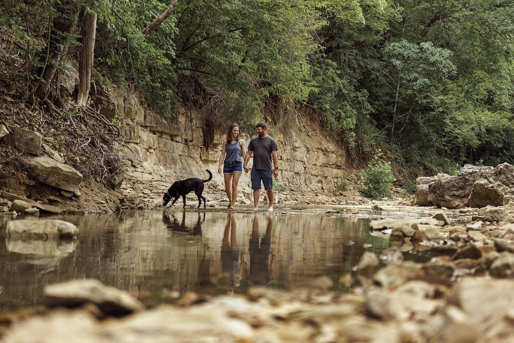 The Ozarker Lodge - photo 70