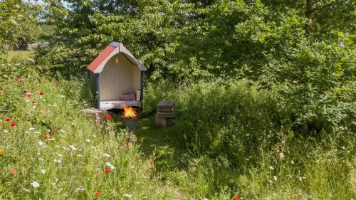 Wellbeing Orchard in Stamford, United Kingdom