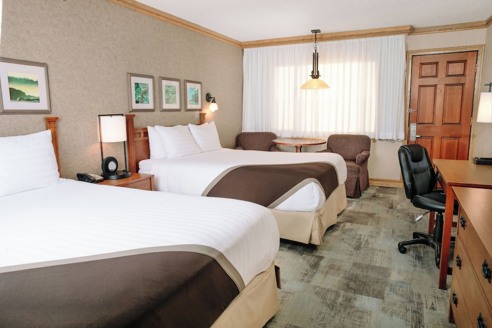 Cavalier Oceanfront Resort - photo 7