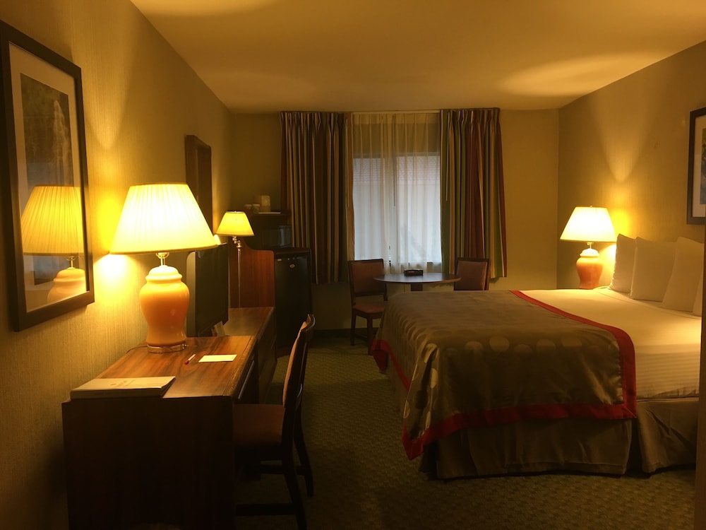Ramada Portland Airport - photo 19