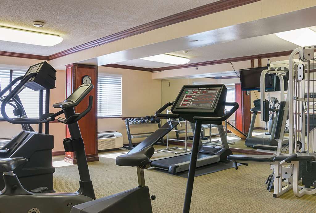 Quality Inn & Suites Detroit Metro Airport - photo 27