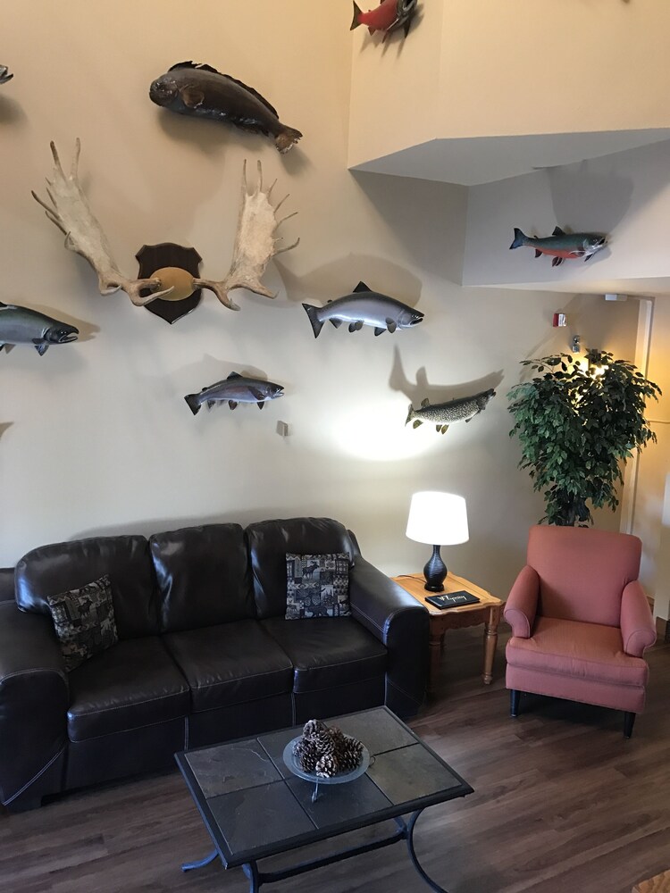 Lakeshore Inn & Suites - photo 8