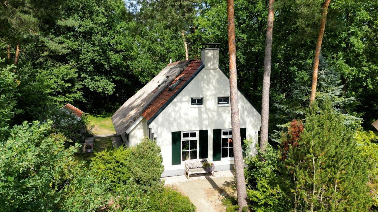 Cottage Hazenhorst paradijs aan het bos — 4-Star Luxury Hotel in Meppel, Netherlands
