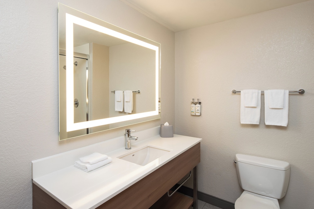 Holiday Inn Express Miami Airport Blue Lagoon Area by IHG - photo 23