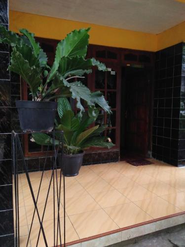 Penginapan Ana Indah in Magelang, Indonesia