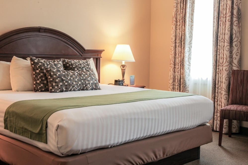 The Conwell Inn - photo 15