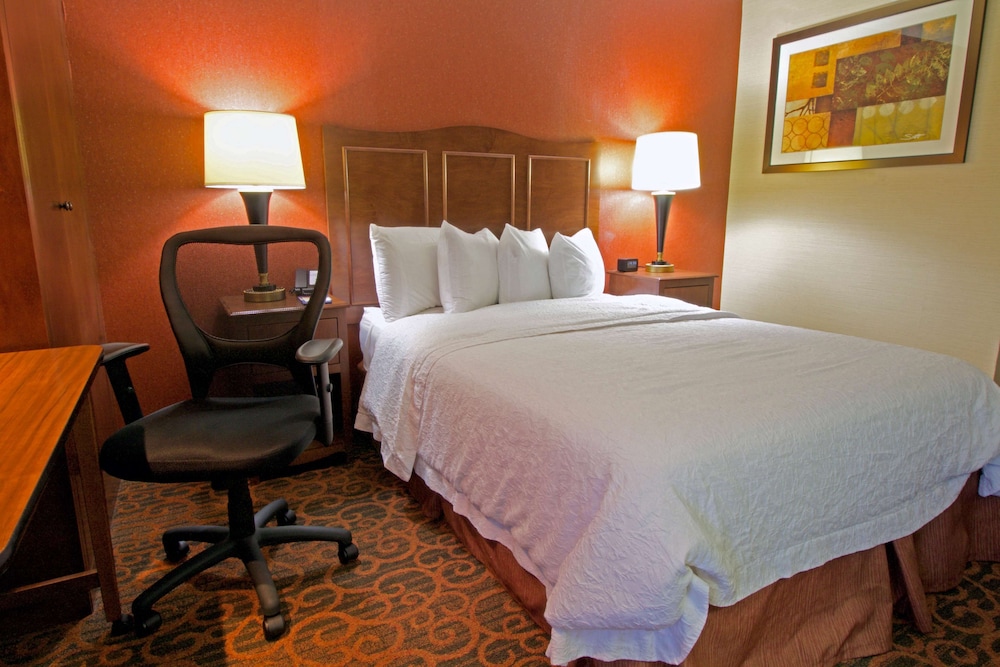 Hampton Inn Norfolk Chesapeake - photo 9