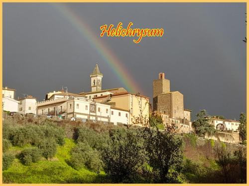 Helichrysum — 4-Star Luxury Hotel in Vinci, Italy