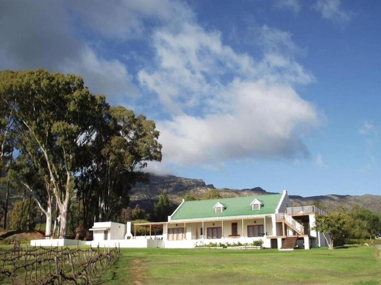 Mountainview Vineyards in Robertson, South Africa