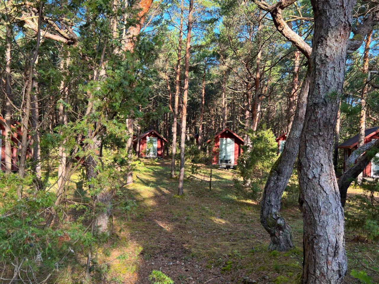 Ninase Puhkemajad - last minute hotel in Unknown City