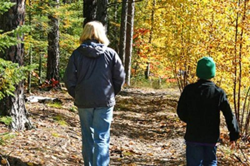 Leech Lake Resort Bed & Breakfast - photo 44