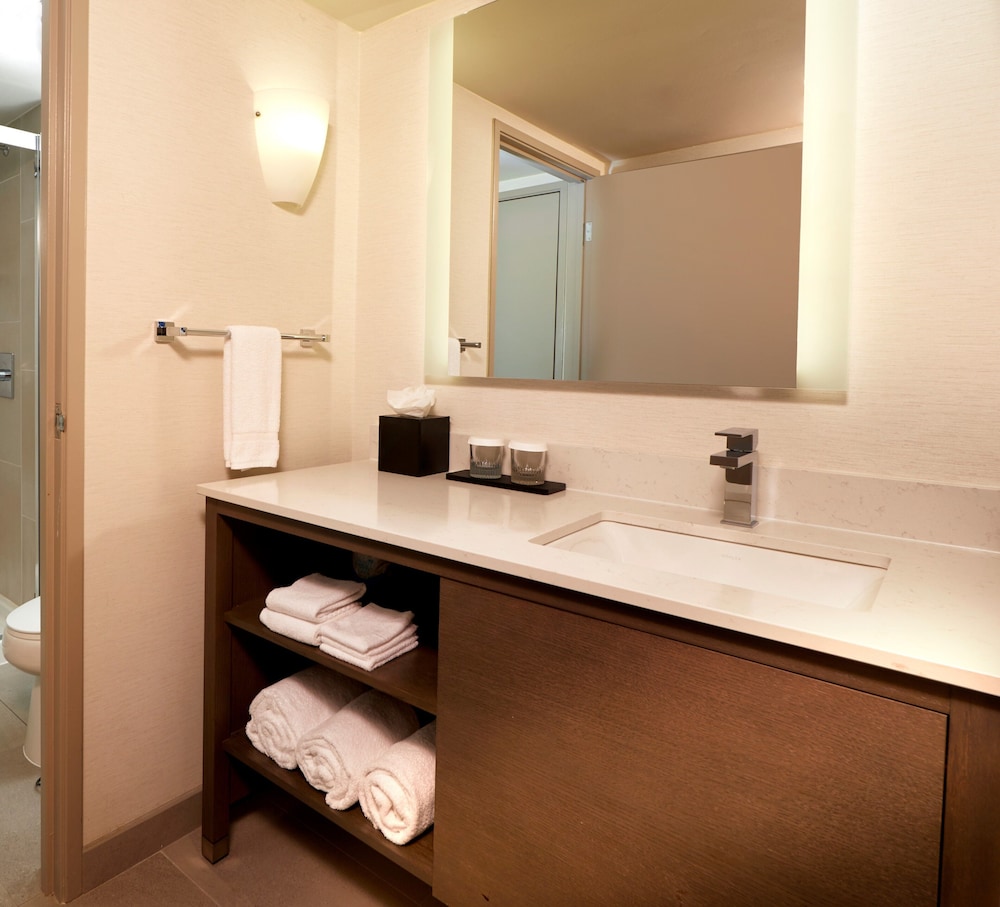 Embassy Suites by Hilton Phoenix Scottsdale - photo 29
