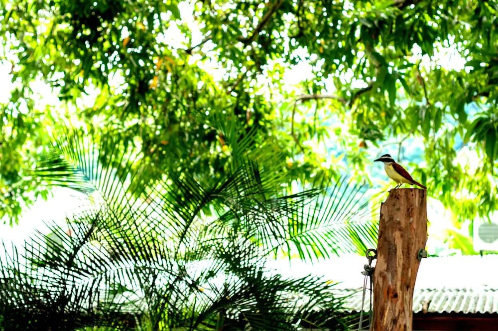 La Casona de Sara in Honda, Colombia