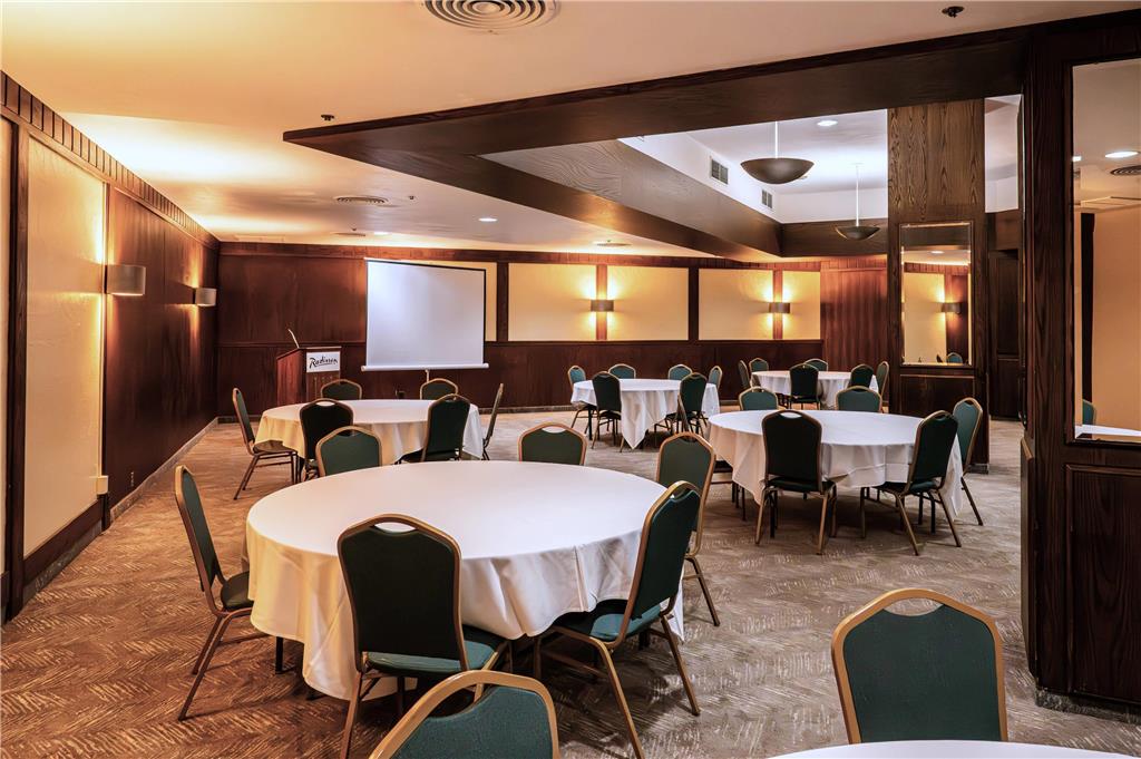 Radisson Hotel Duluth Harborview - photo 29