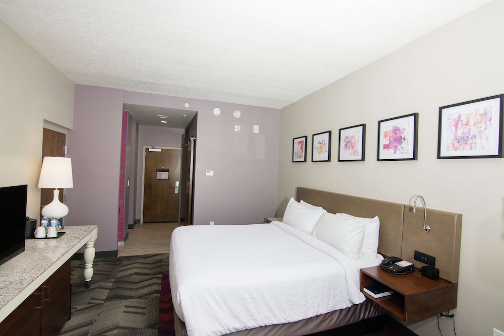 Hilton Garden Inn Tampa Suncoast Parkway - photo 32