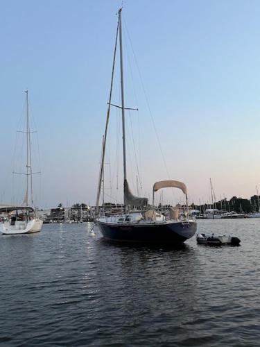 Sailboat Experience in Annapolis — Annapolis — photo 2