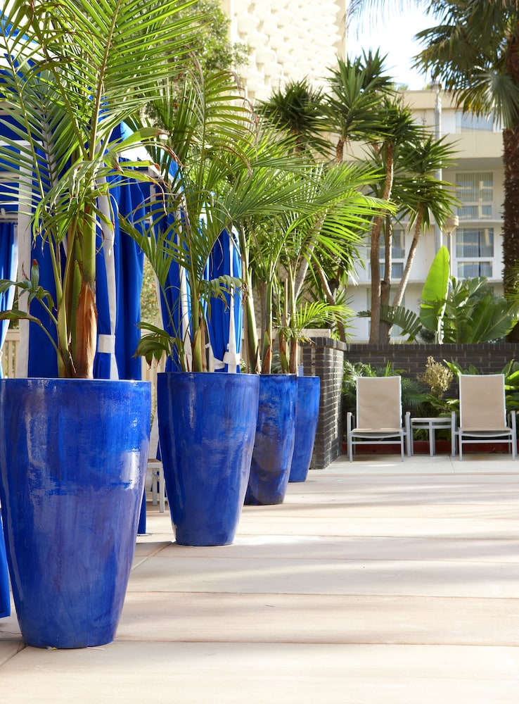 Four Points by Sheraton Los Angeles International Airport - photo 45