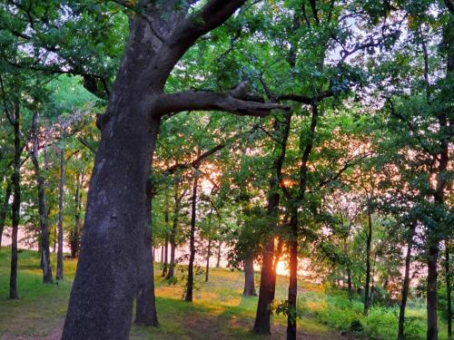 Lakeside Retreat — Quitman — photo 4