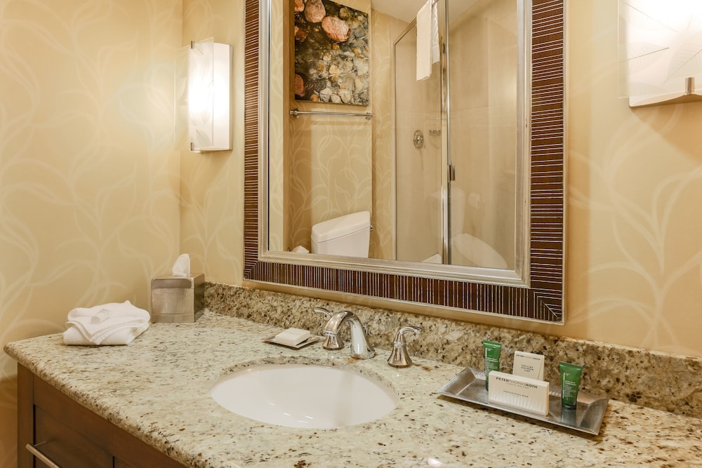 Hilton Branson Convention Center - photo 41