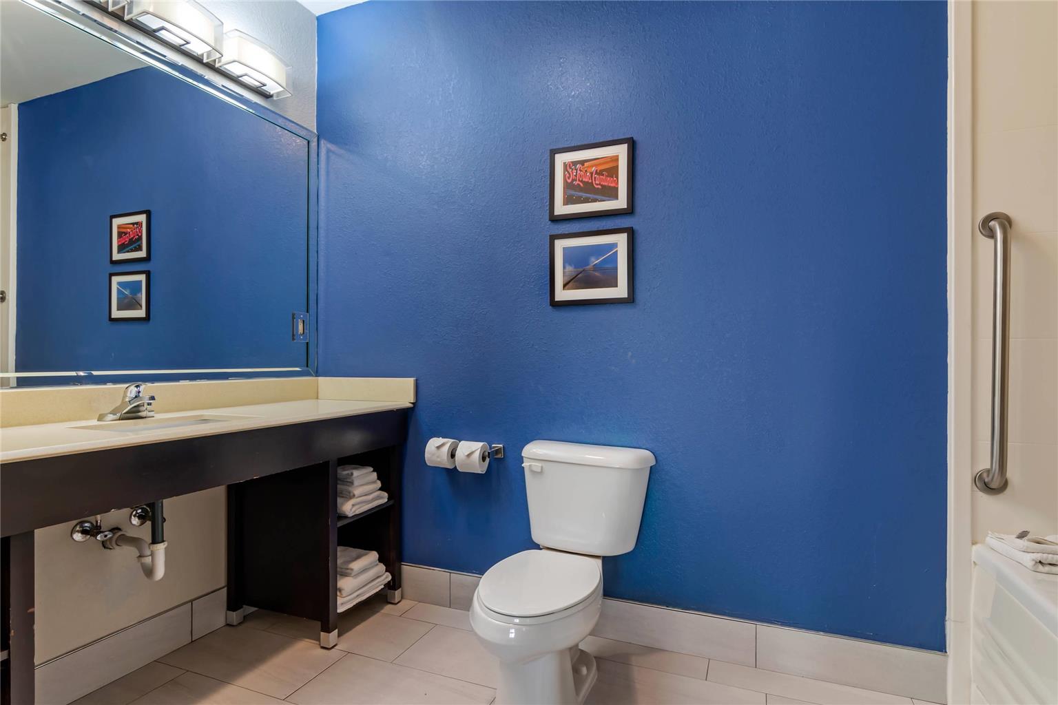 Comfort Suites St Charles St Louis - photo 10
