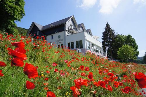 Waldhotel Schinkenwirt — Olsberg