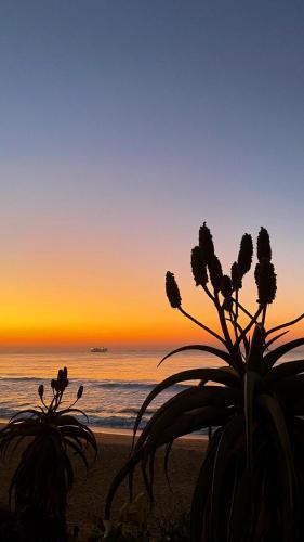 Seaside Serenity — 4-Star Luxury Hotel in Durban, South Africa