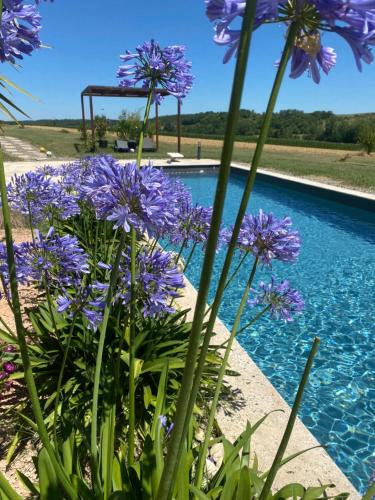 Le clos du Broca - carbon neutral hotel in Unknown City