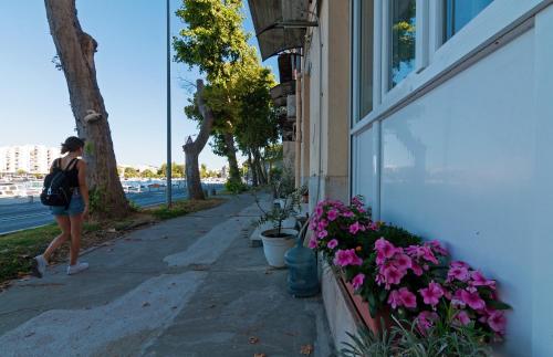 Apartman Pegla — 4-Star Luxury Hotel in Zadar, Croatia