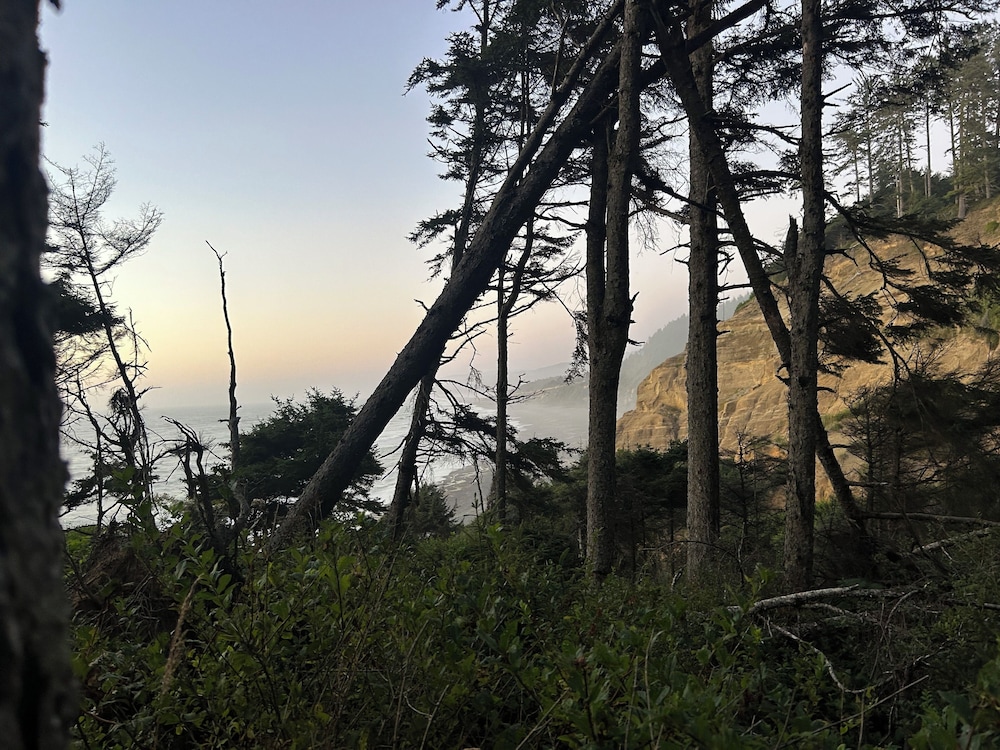 The Pinc - photo 48