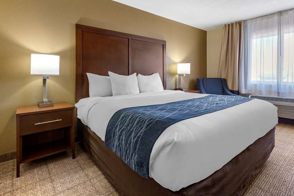 Comfort Inn & Suites Alameda at Albuquerque Balloon Fiesta Park - photo 6