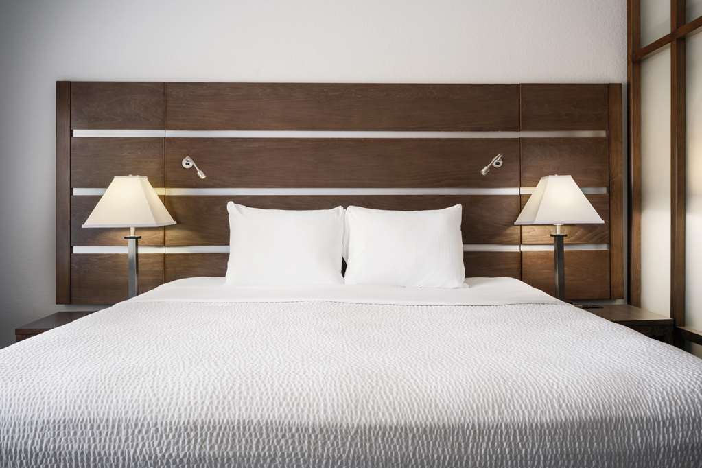 Best Western Plus College Station Inn & Suites - photo 19
