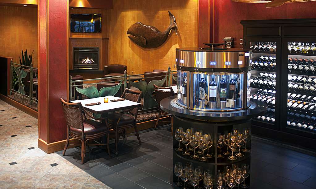 Hotel Captain Cook - photo 13