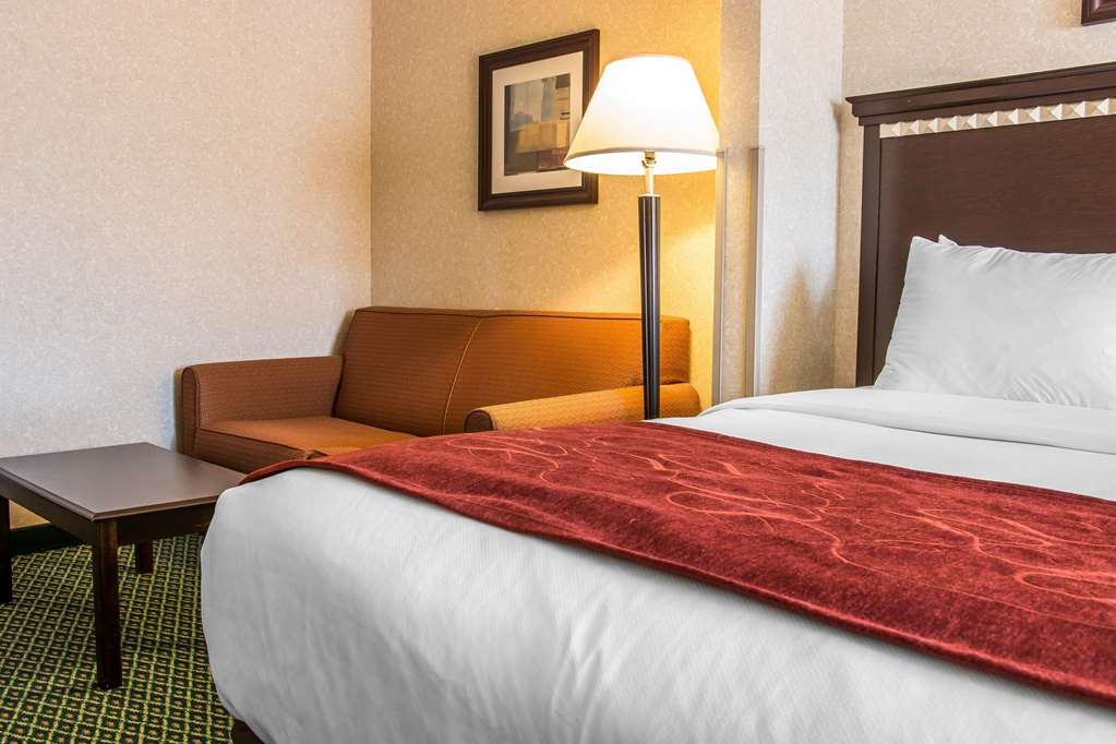 Comfort Suites Canton Detroit - photo 9