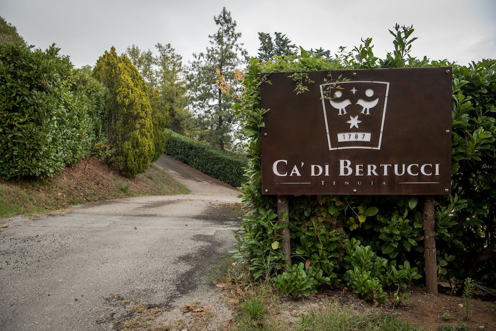 Tenuta C di Bertucci - last minute hotel in Solignano