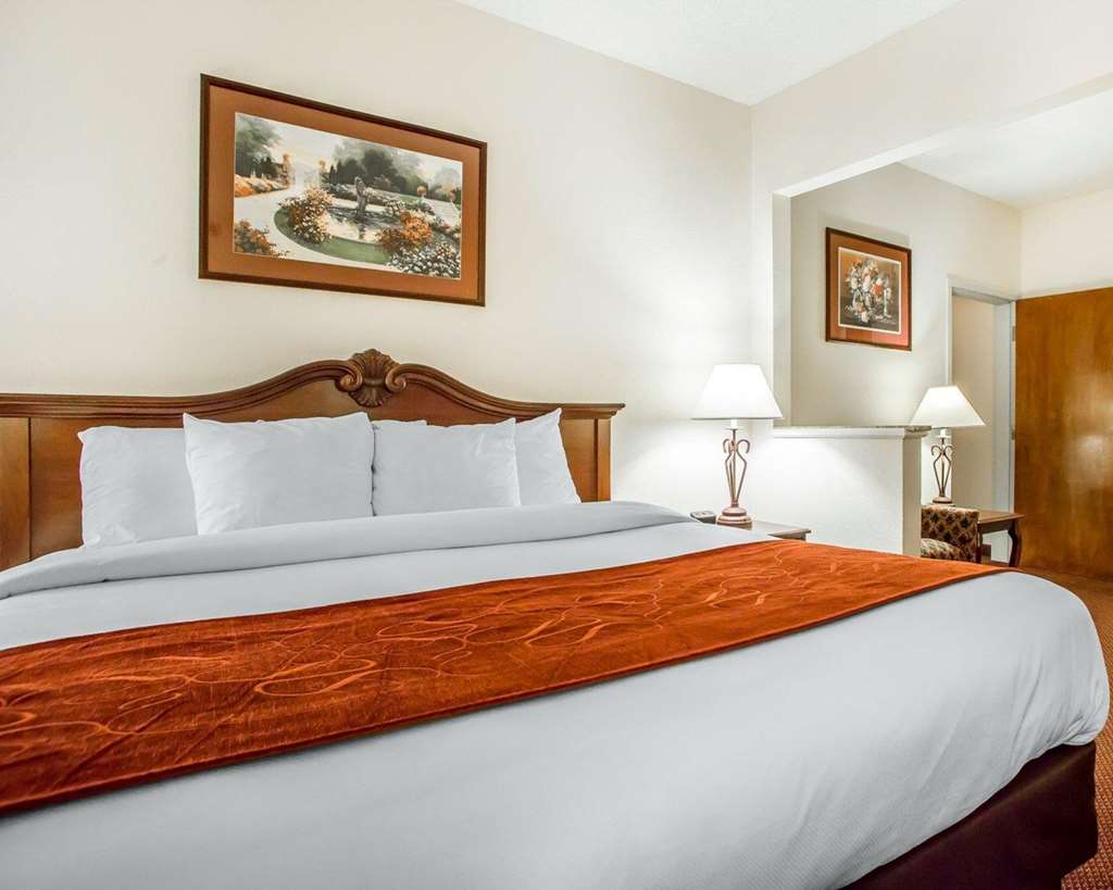 Comfort Suites Jefferson City - photo 30