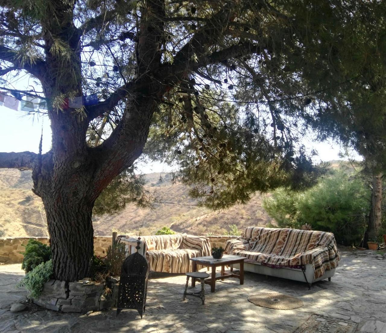 Pinar El Almendra — Alora — photo 3