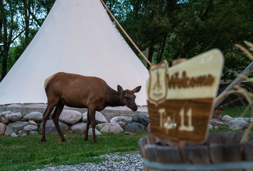 Dreamcatcher Tipi Hotel - photo 34
