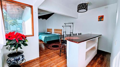 Los Temazcales de Xochitepec in Xochitepec, Mexico