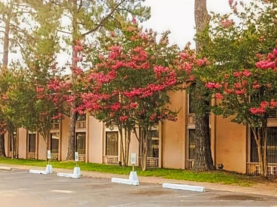 Regency Hotel & Conference Center - last minute hotel in Jackson