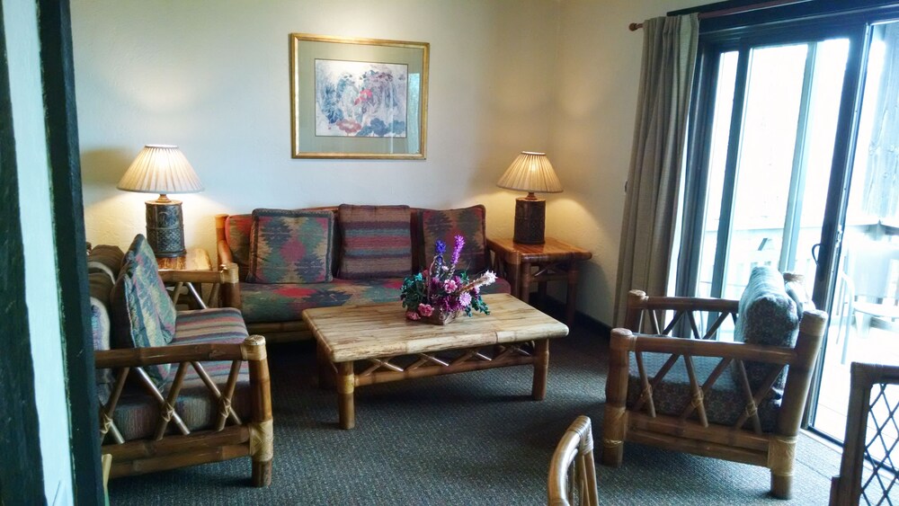 Beech Mountain Inns - photo 21