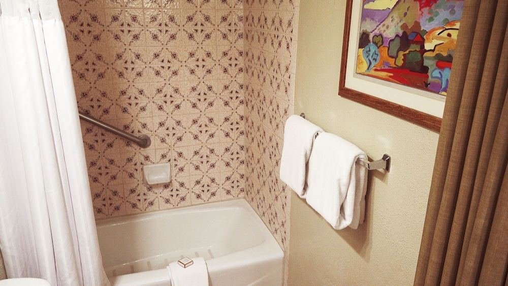 Sagebrush Inn & Suites - photo 59