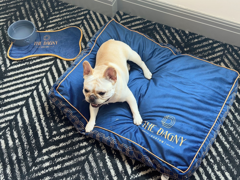 The Dagny Boston - photo 40