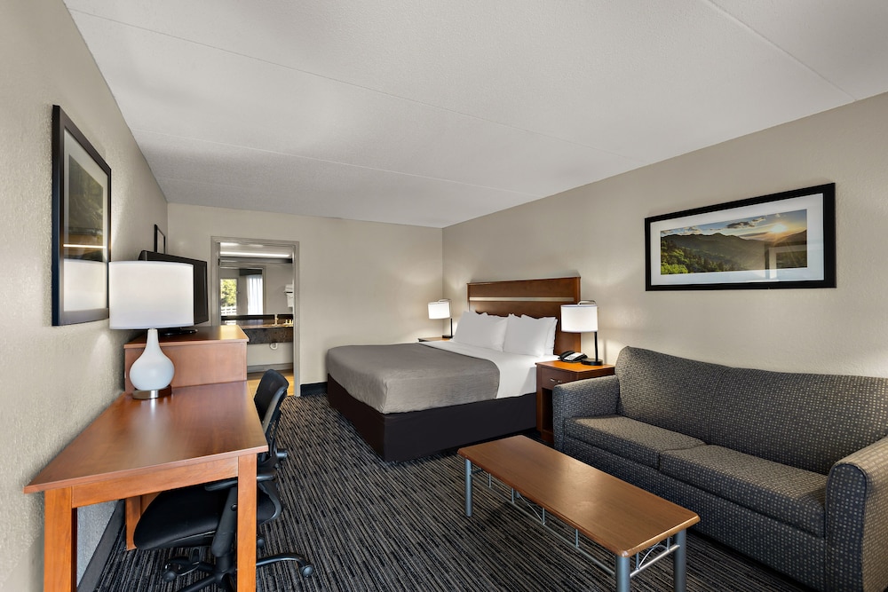 Quality Inn Dandridge - photo 19