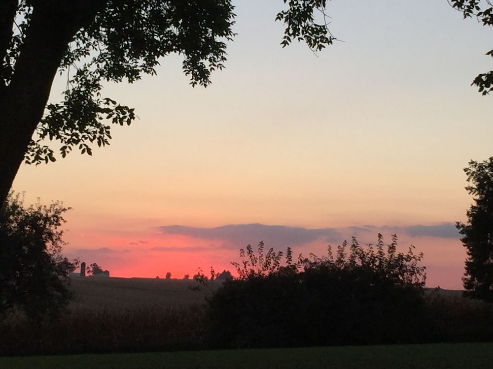 Crest Country Inn - photo 166