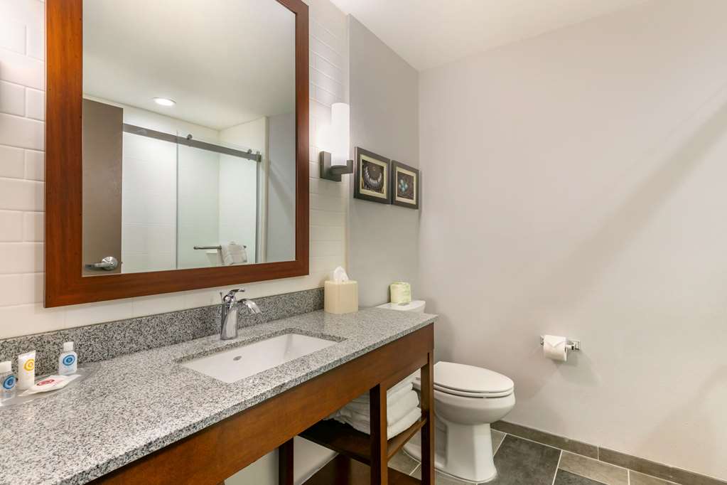 Comfort Suites North Tupelo - photo 9