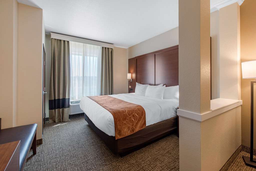 Comfort Suites Denver International Airport - photo 21