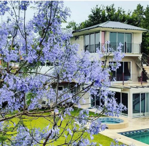 Margaritas y Soles Petit Hotel in San Miguel Del Monte, Argentina